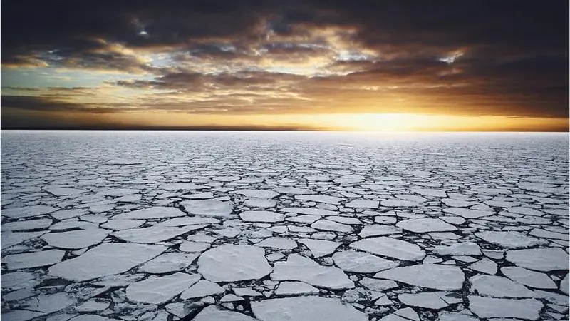 Highlighting plight of 'last ocean'