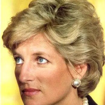 Diana's death solved? Phew!
