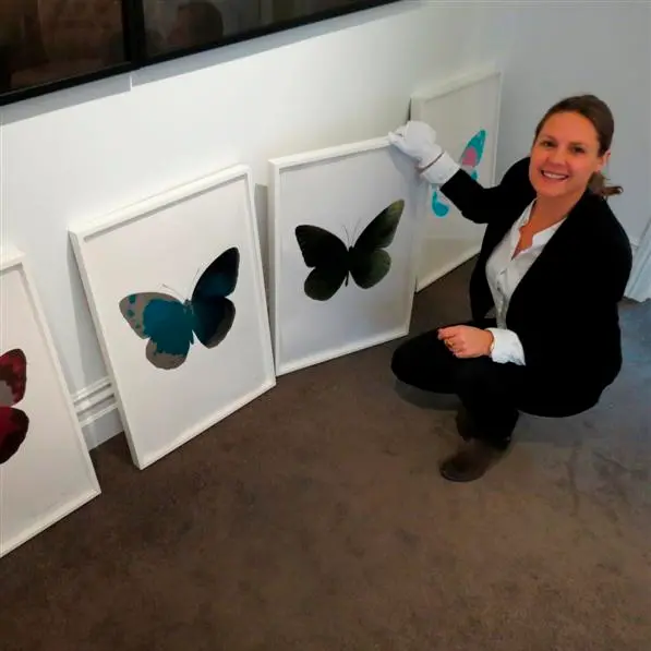 Hirst works on show