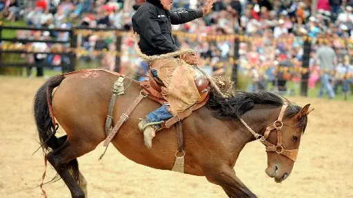 Rodeo ban petition turned down