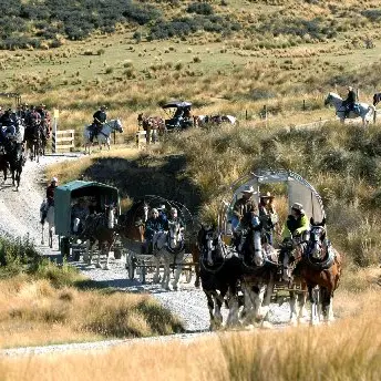 Childhood memories revived on trail