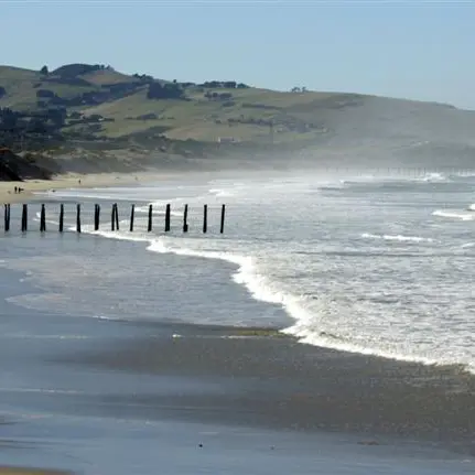 Helping save beaches by recycling beer bottles