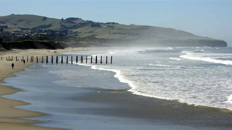 Helping save beaches by recycling beer bottles