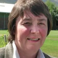 Special licence bid 'contrived'