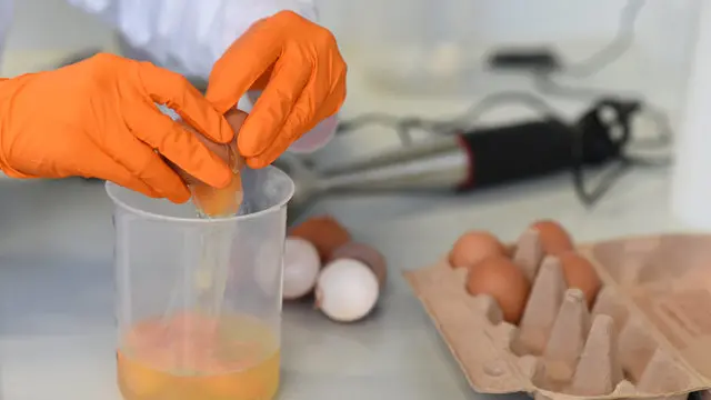 Dutch police make arrests in contaminated eggs case