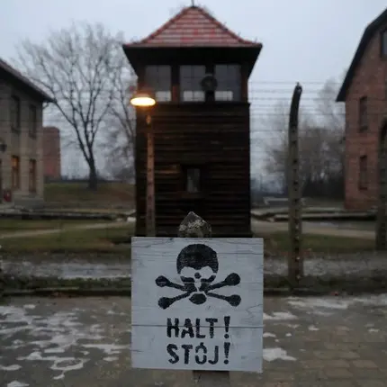 Pressure mounts on Poland to veto Holocaust bill
