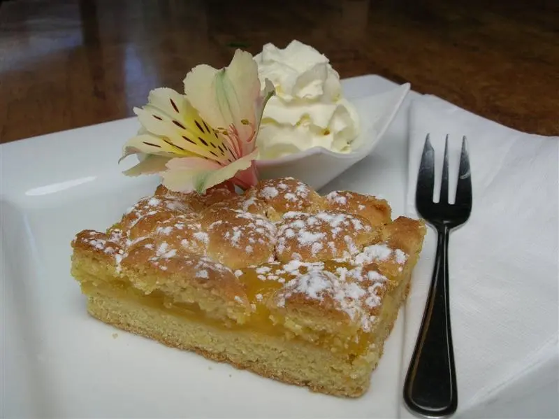 Castor Pulp RECIPE: Lemon fudge slice