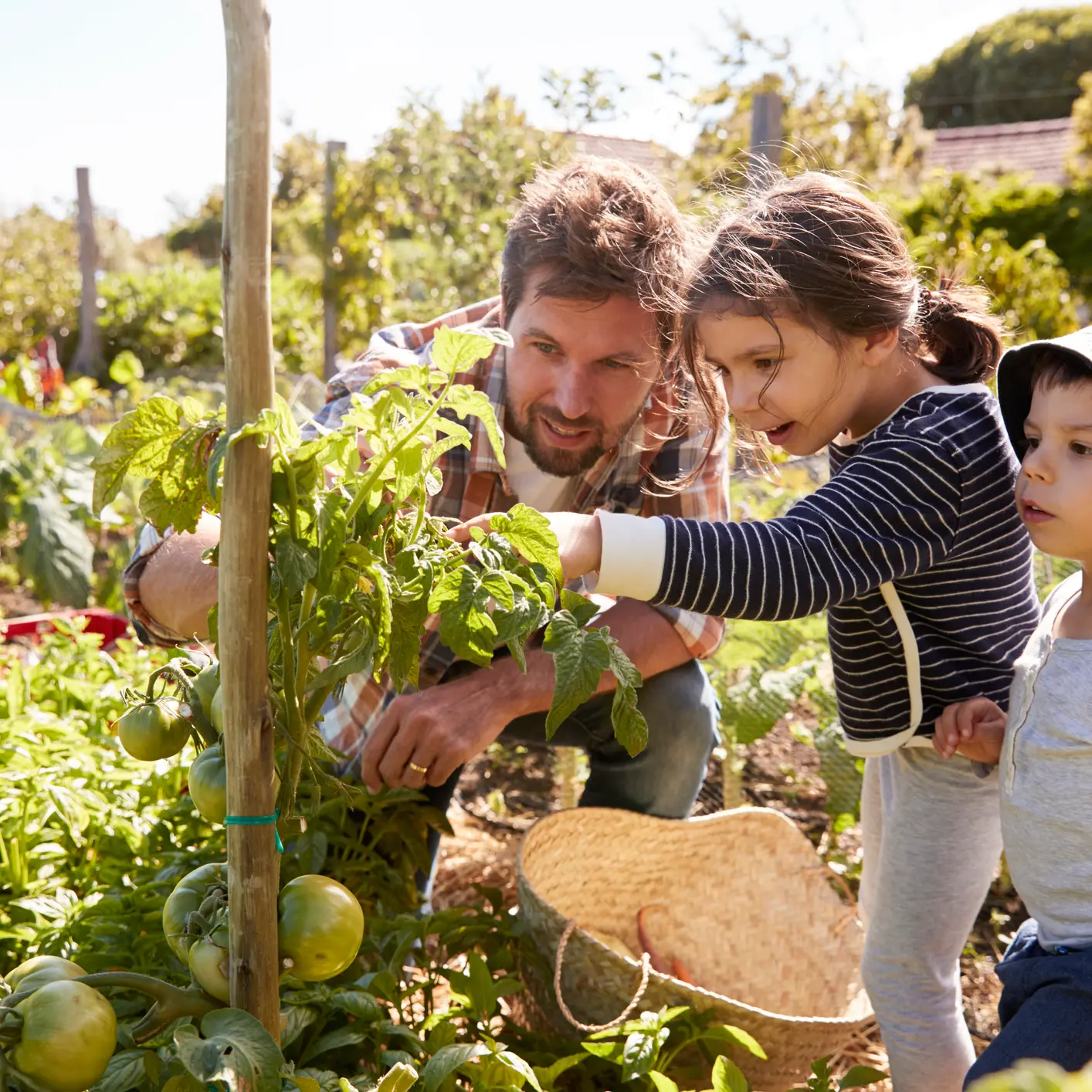 Reimagining our food