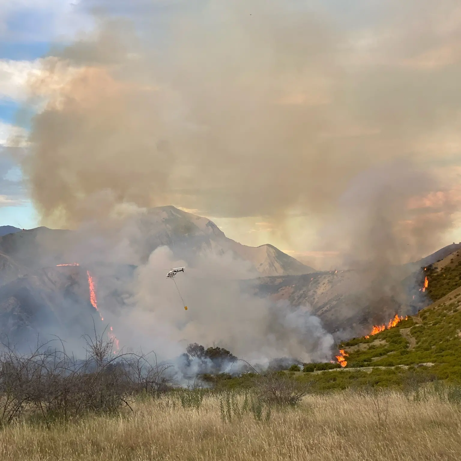 Aerial firefighting costs blow out