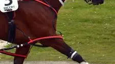 Winton win shows Hijack heading in right direction