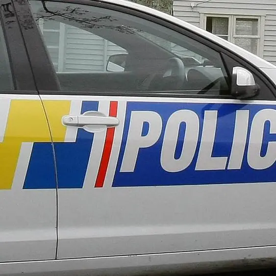 Southern raids net guns,drugs