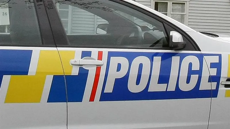 Southern raids net guns,drugs