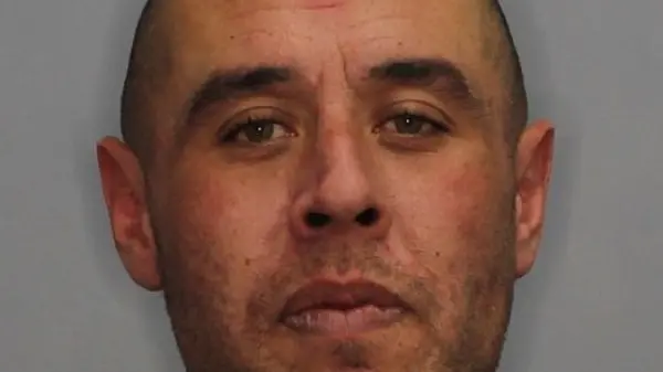 Arrest made after chase through Otago
