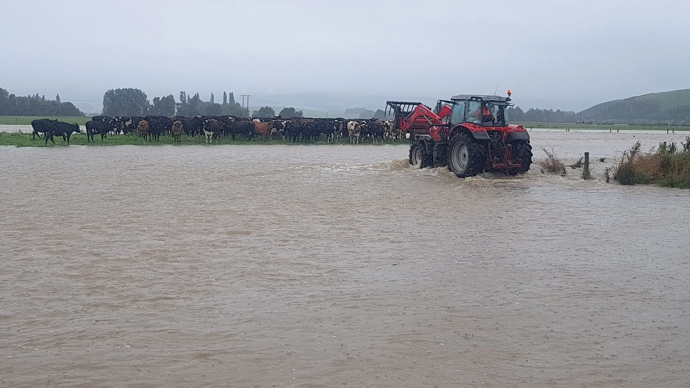 Road may be too damaged to salvage