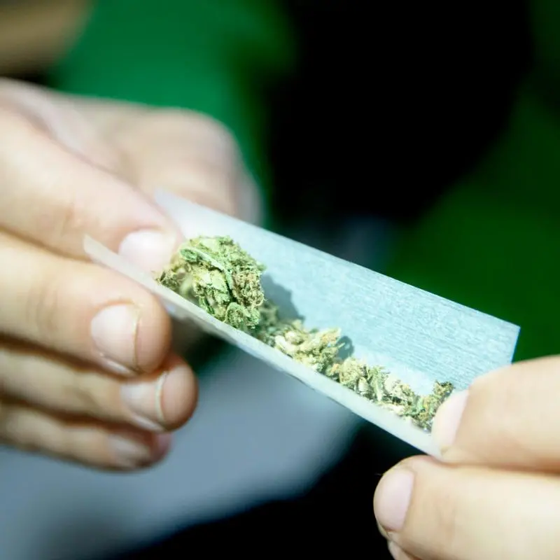 Heavy cannabis users seen as 'unreliable, unhealthy': Study