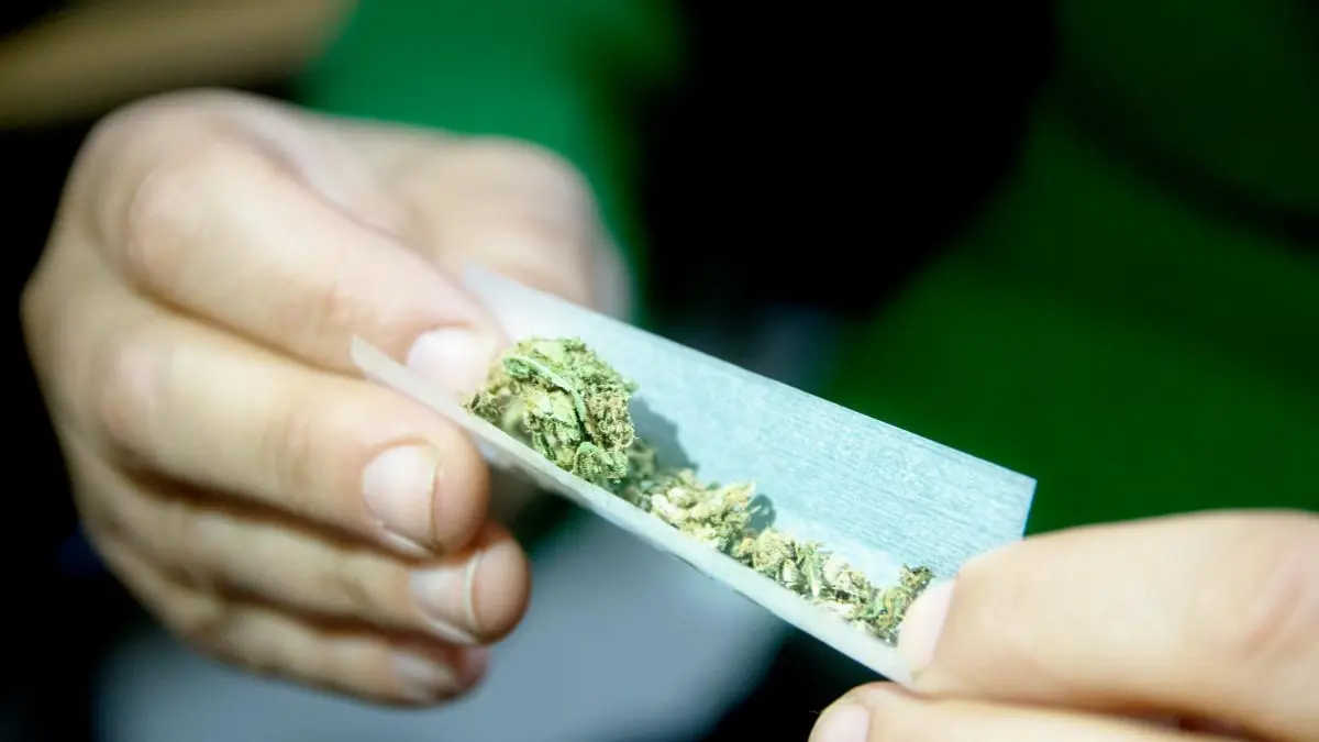 Heavy cannabis users seen as 'unreliable, unhealthy': Study