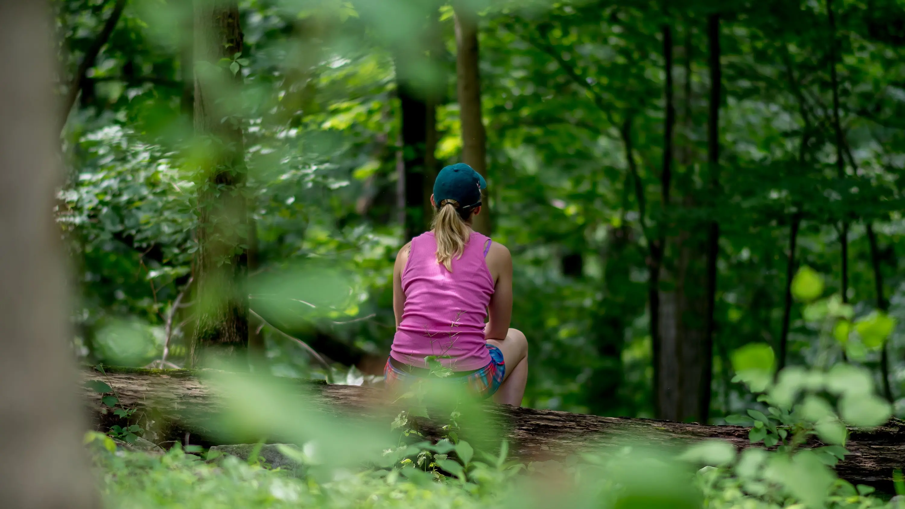 Time in the trees good for the soul