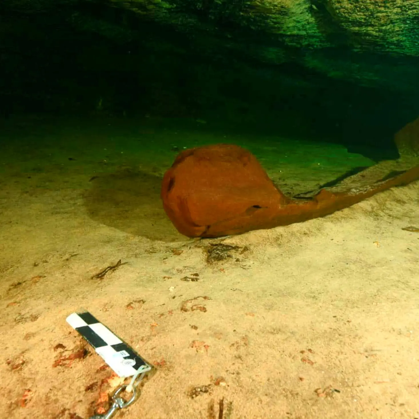 Ancient Maya canoe discovered intact after 1000 years