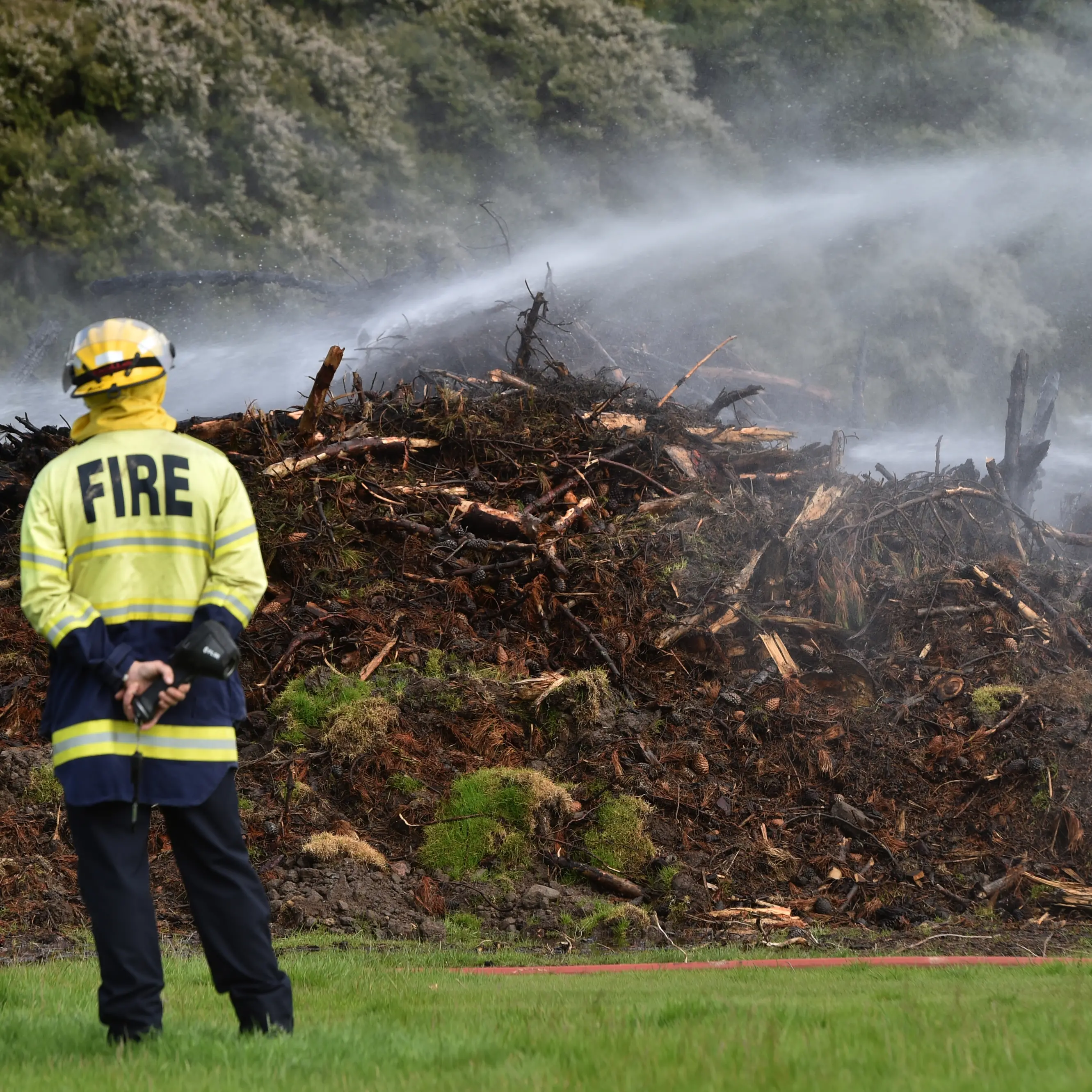 Tree fire at John McGlashan College 'suspicious'