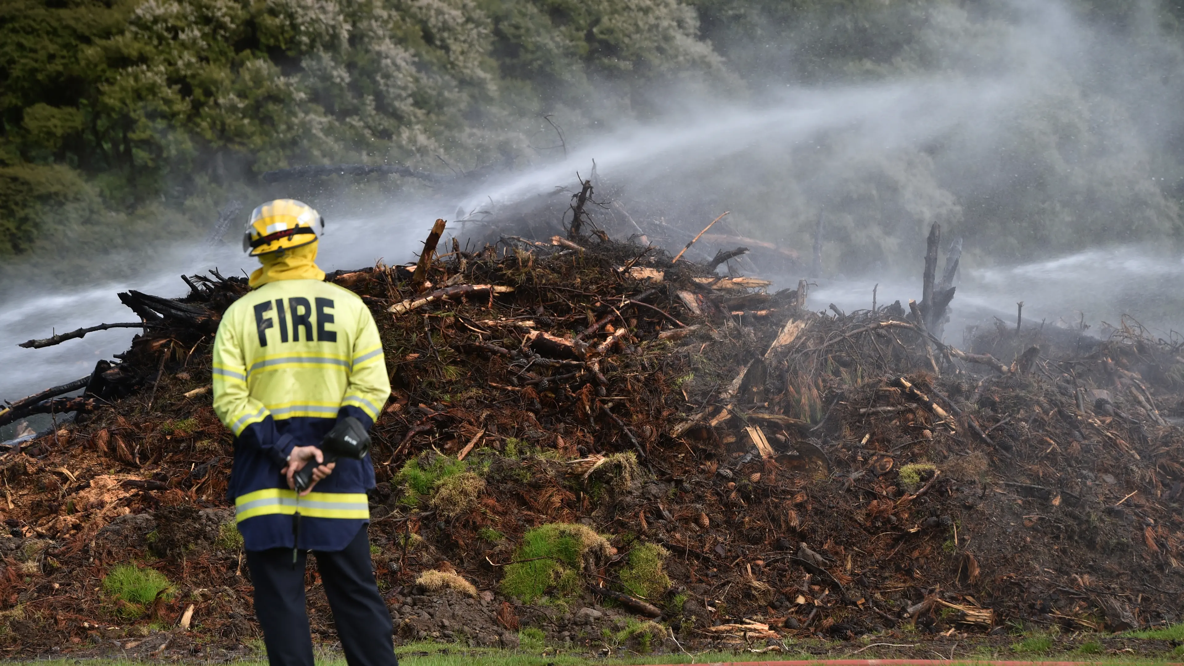 Tree fire at John McGlashan College 'suspicious'