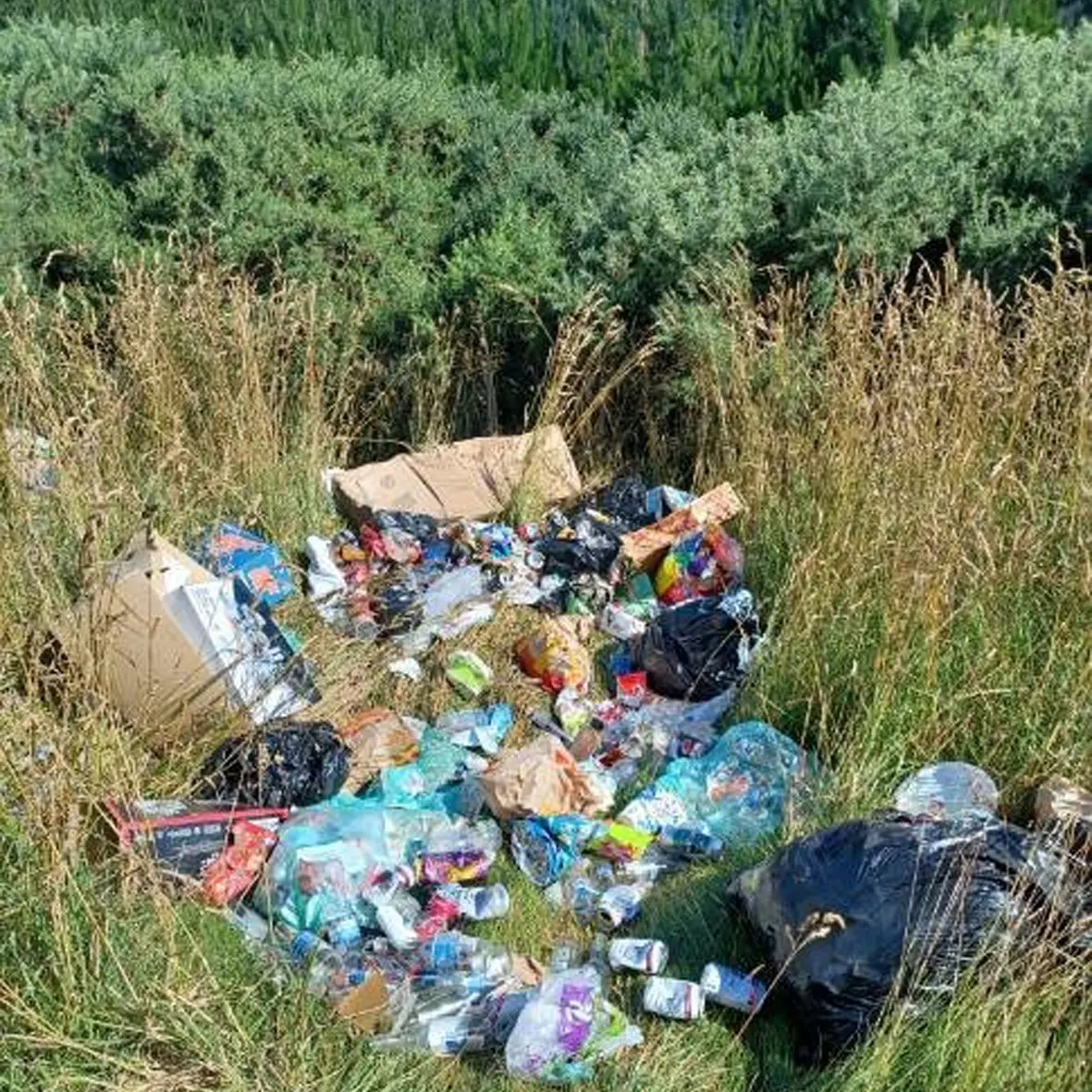 Illegal dumping leads to $400 fine