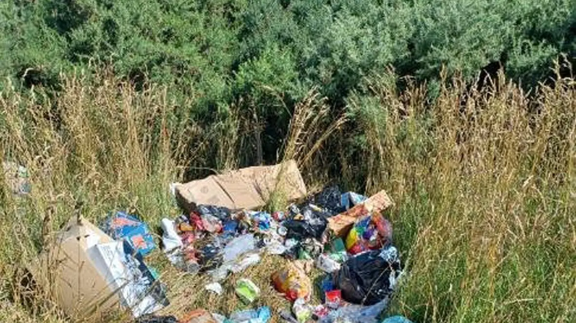Illegal dumping leads to $400 fine