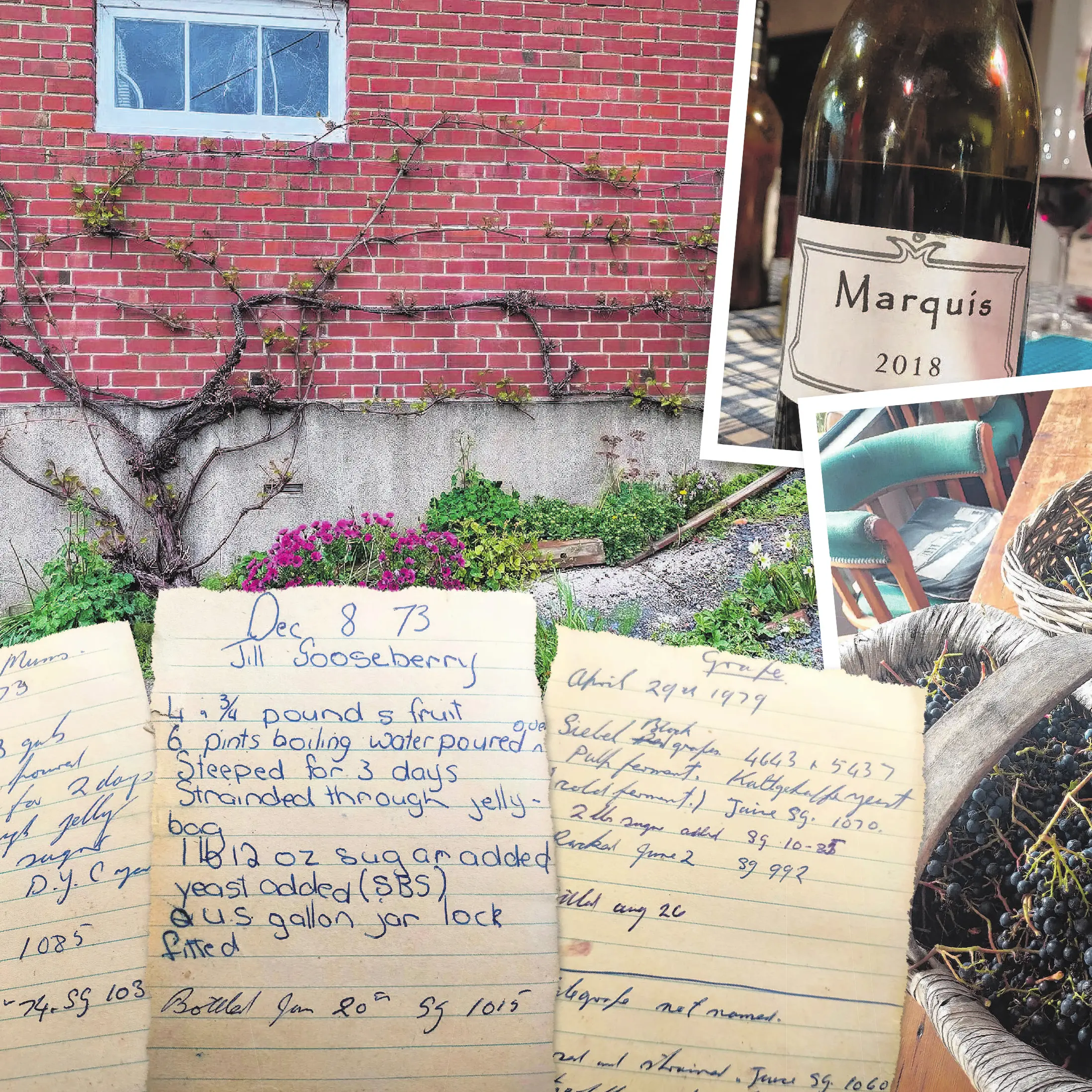 Wine of a more familiar terroir