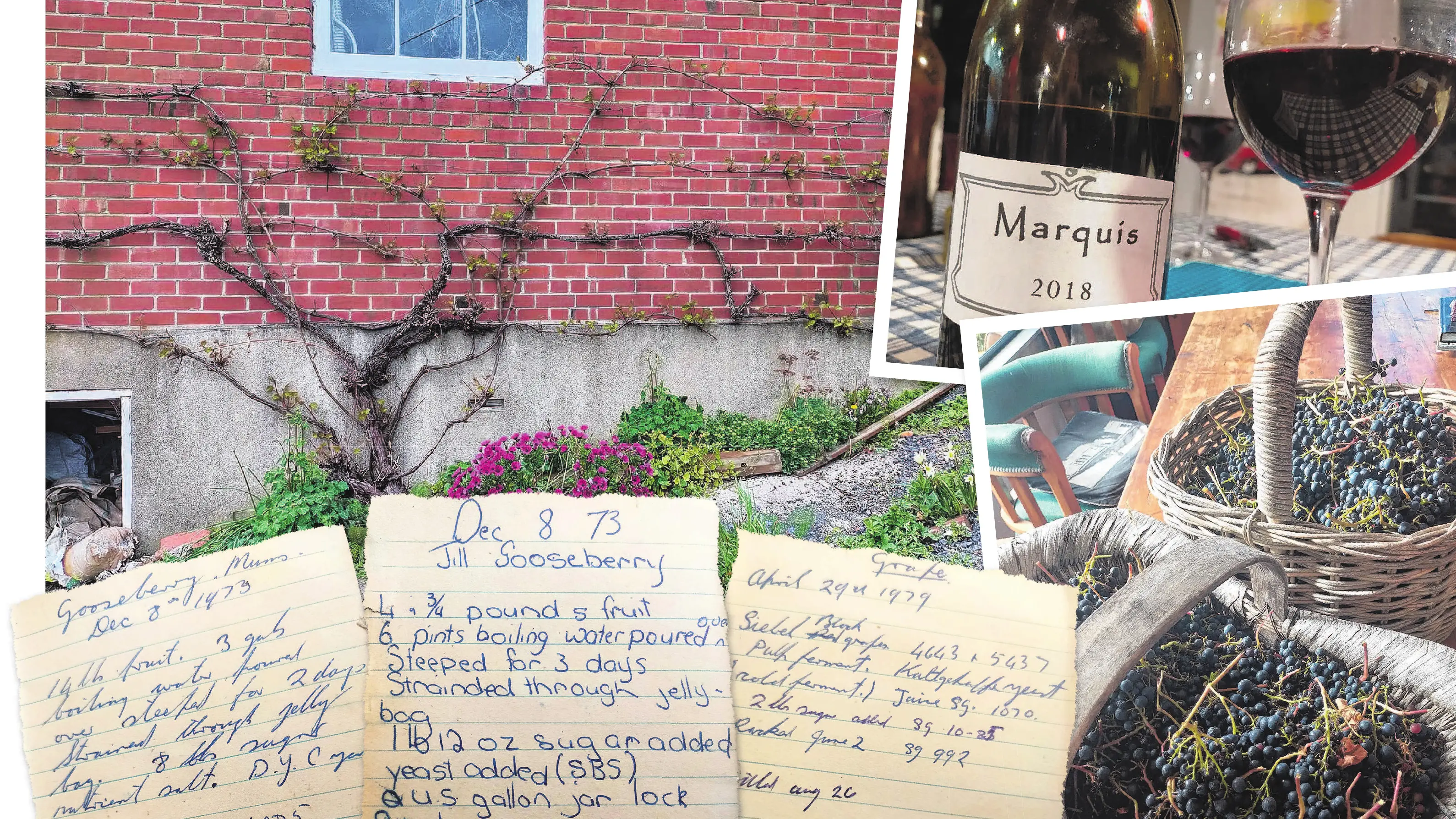 Wine of a more familiar terroir