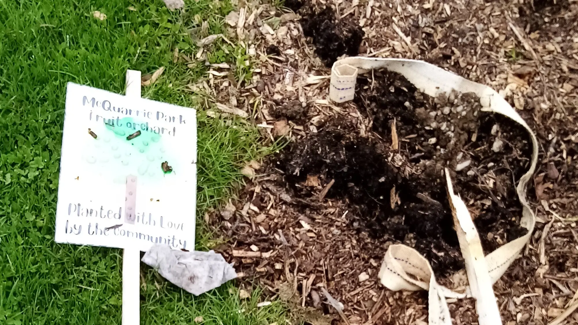 Volunteer left in tears after trees stolen