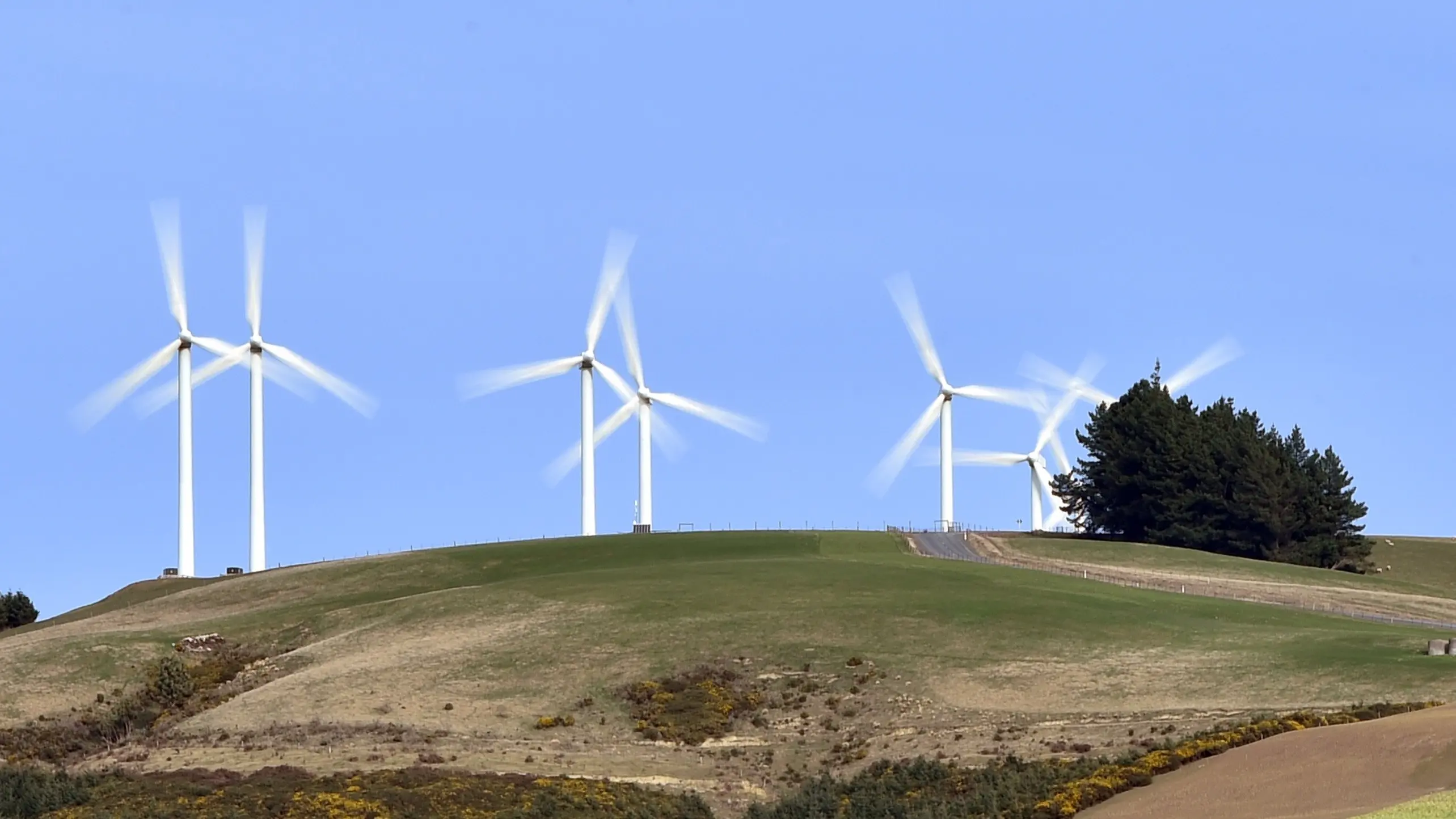 Wind, solar generation on the rise globally