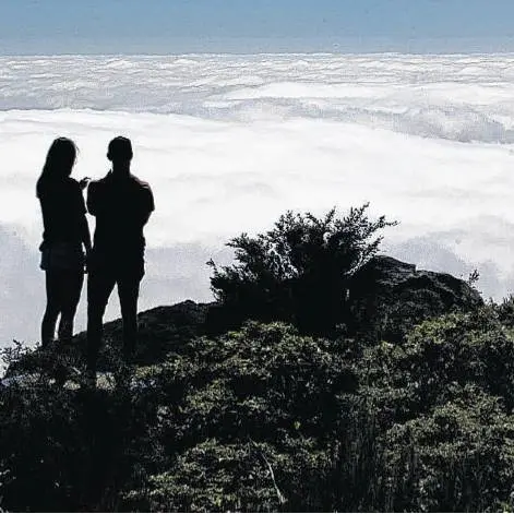 Far above the city’s cares