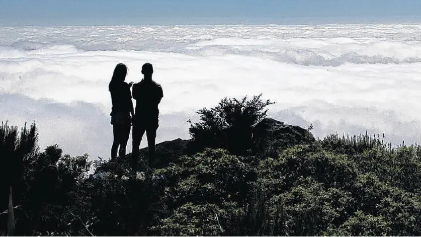 Far above the city’s cares