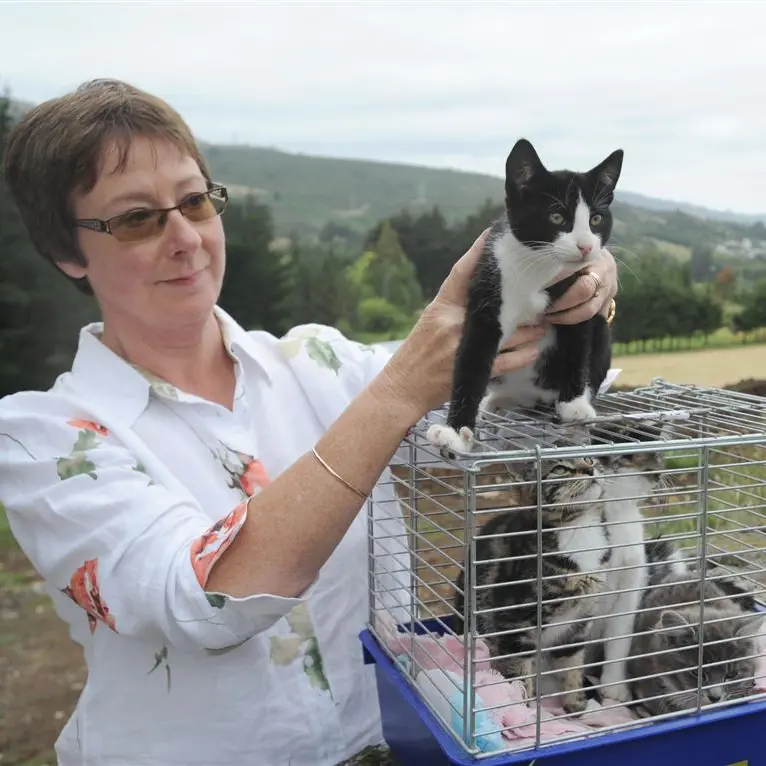 Dumping of cats angers Halfway Bush resident