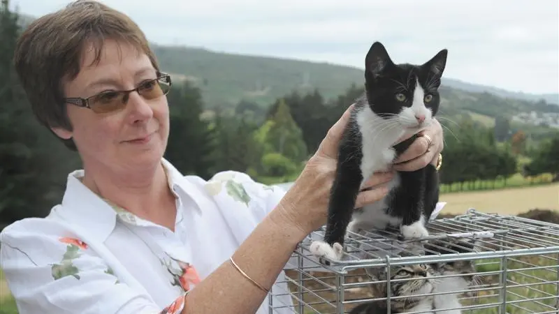 Dumping of cats angers Halfway Bush resident