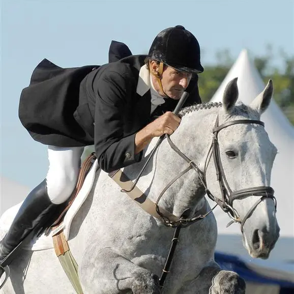 Equestrian: Todd, Nicholson to set new mark at Olympics