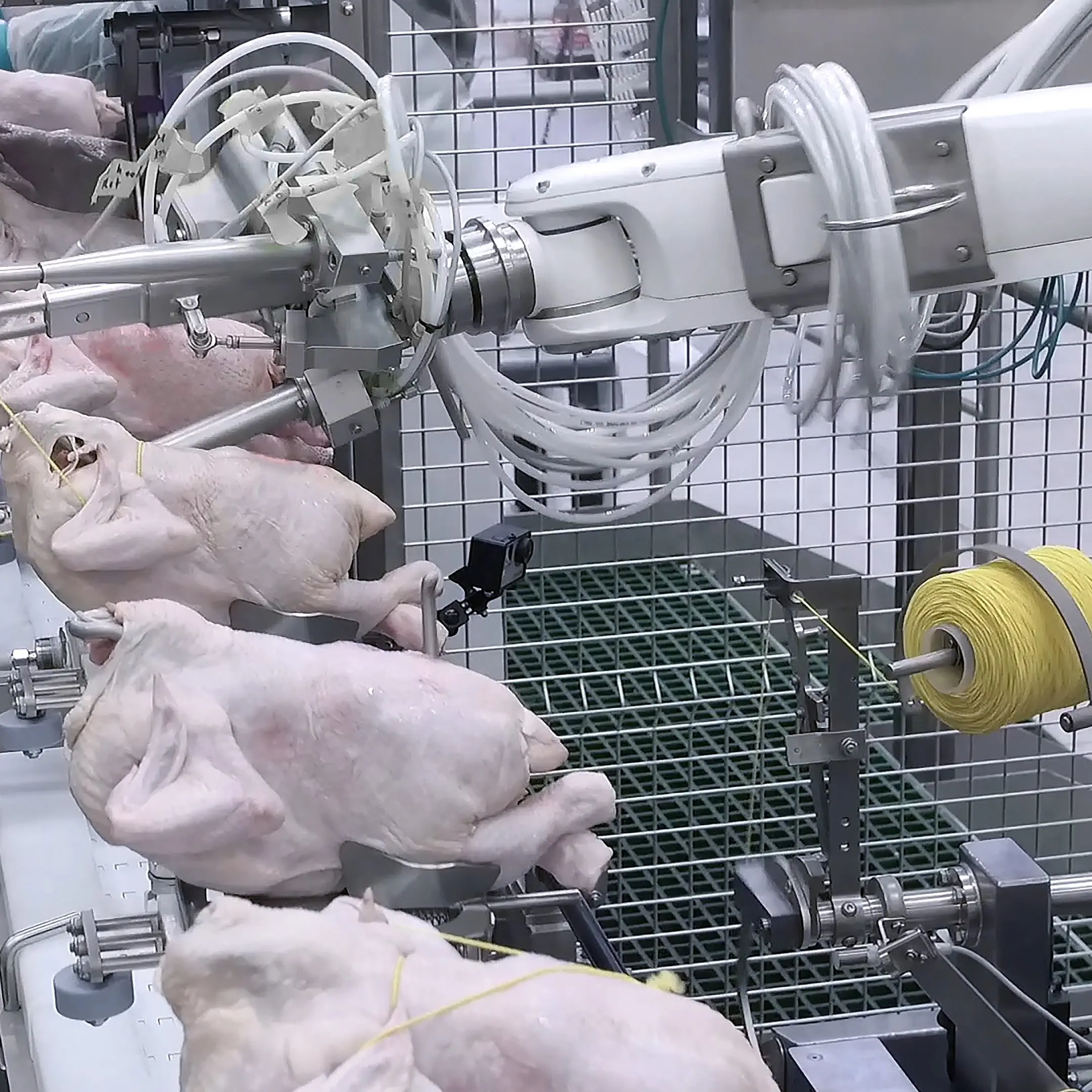 Poultry tech awarded