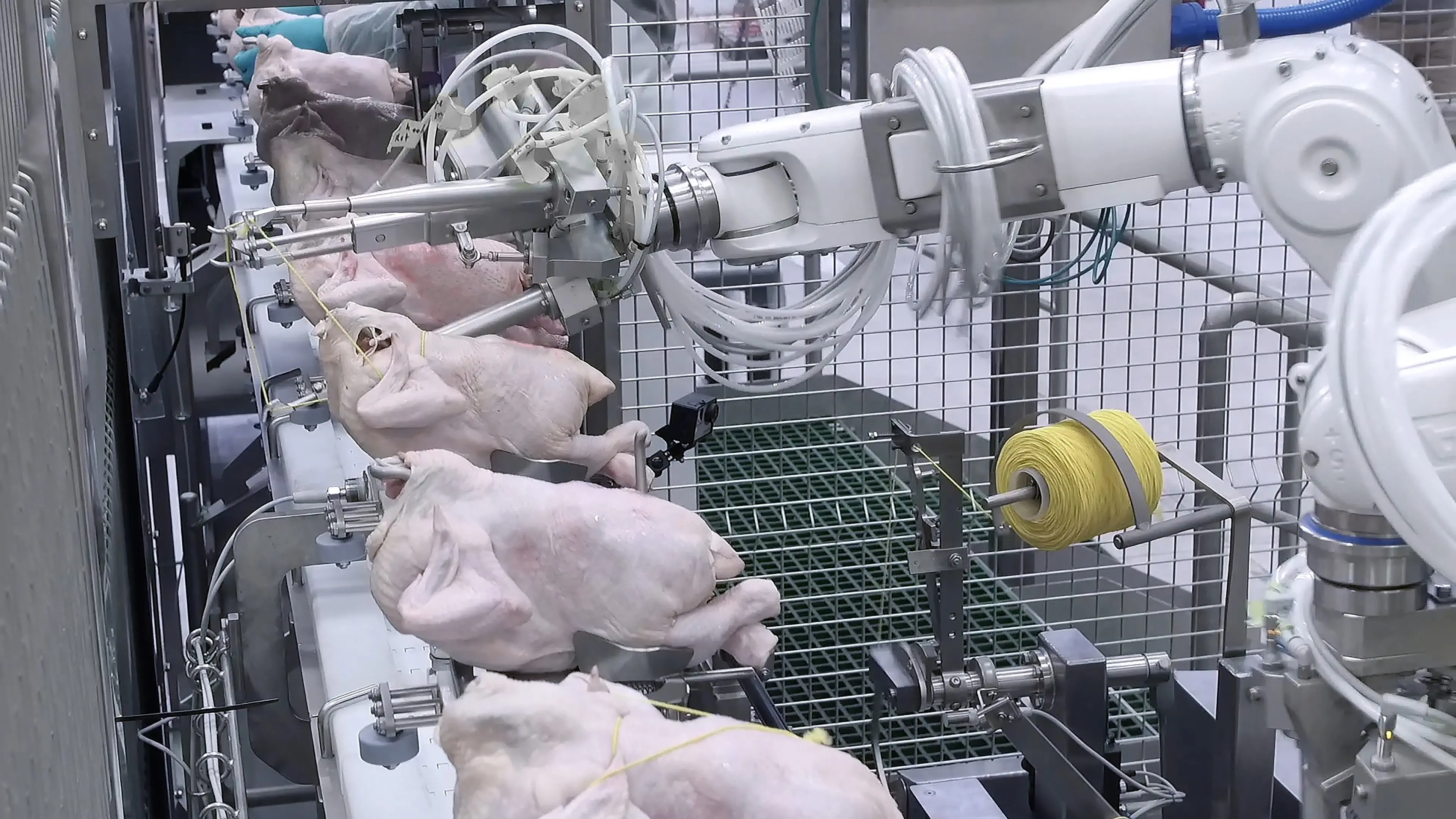 Poultry tech awarded