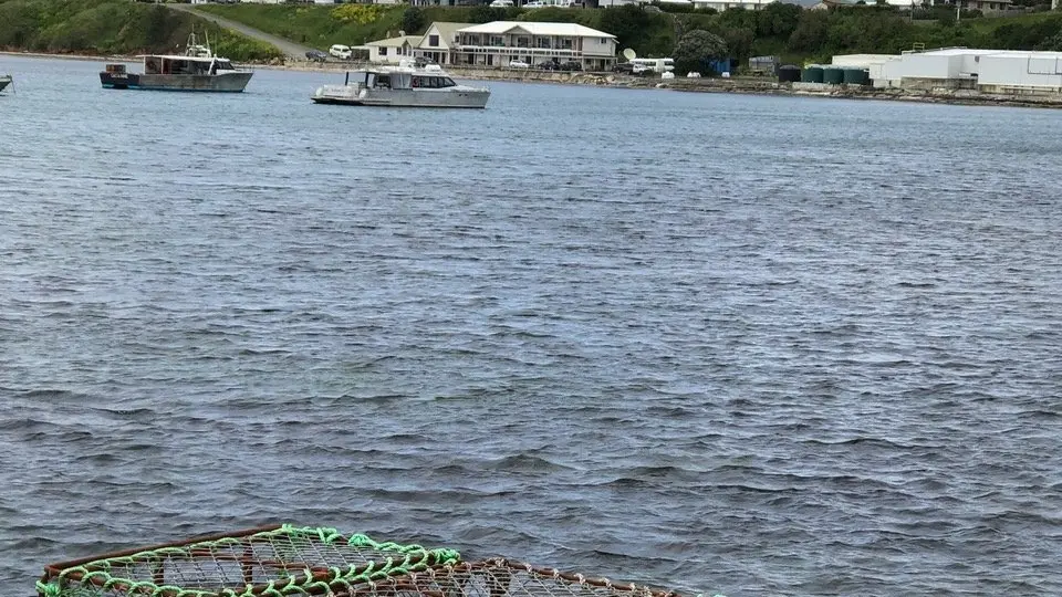 Timeless beauty of the Chathams