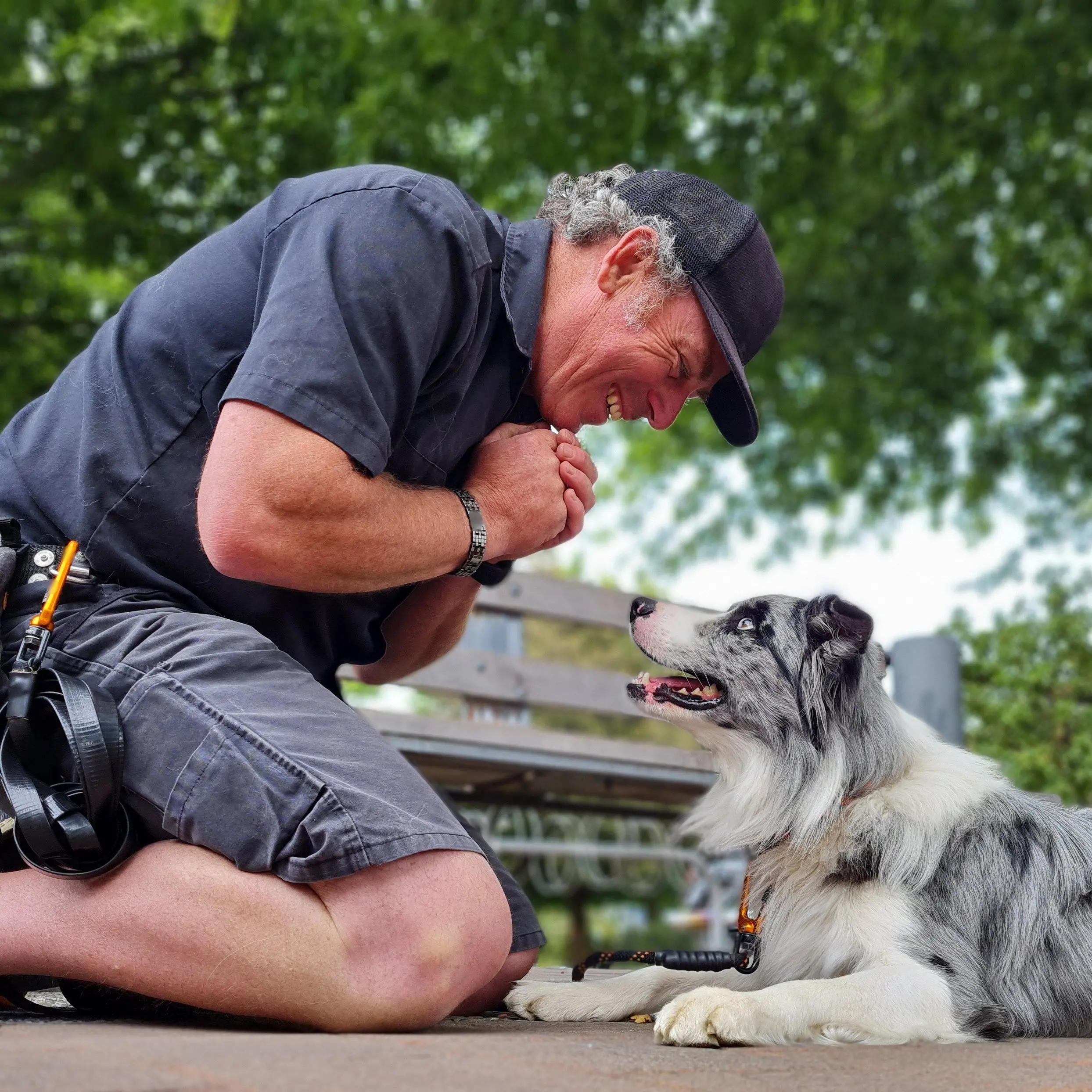 Trainer helping to rewire canine brains