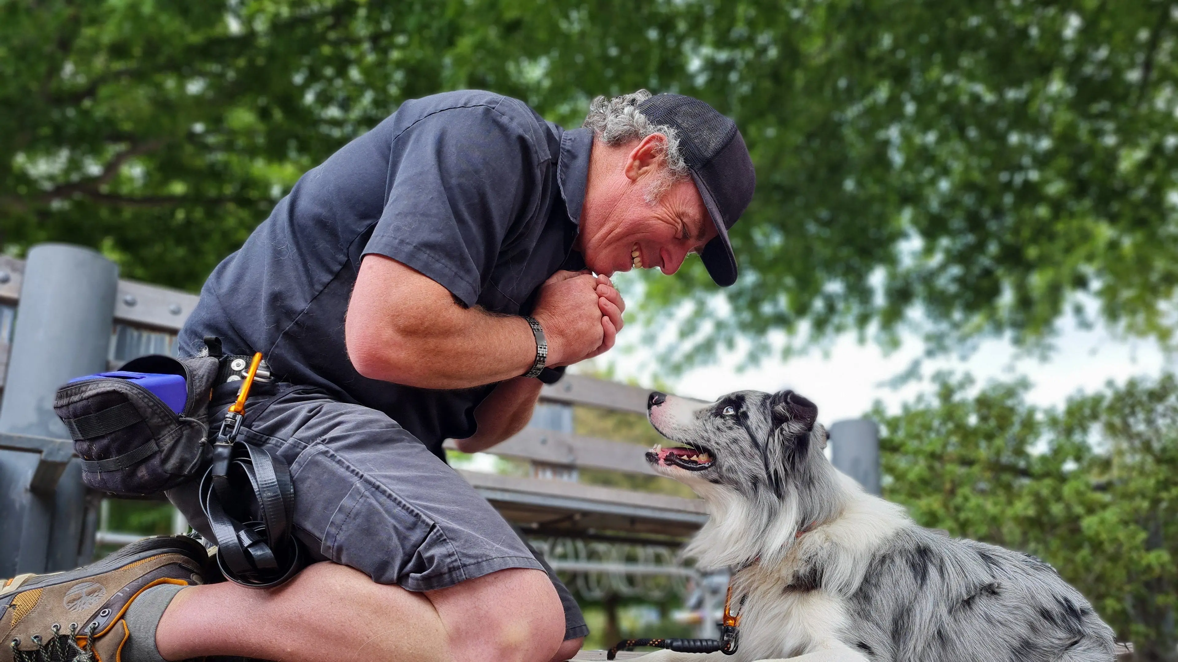 Trainer helping to rewire canine brains