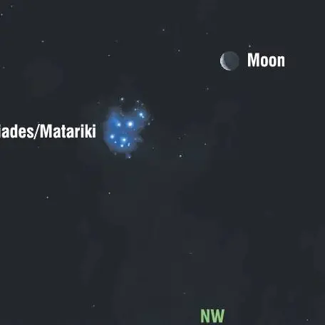 Waxing moon escorts a descending Matariki