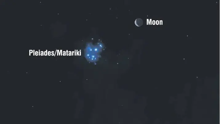 Waxing moon escorts a descending Matariki