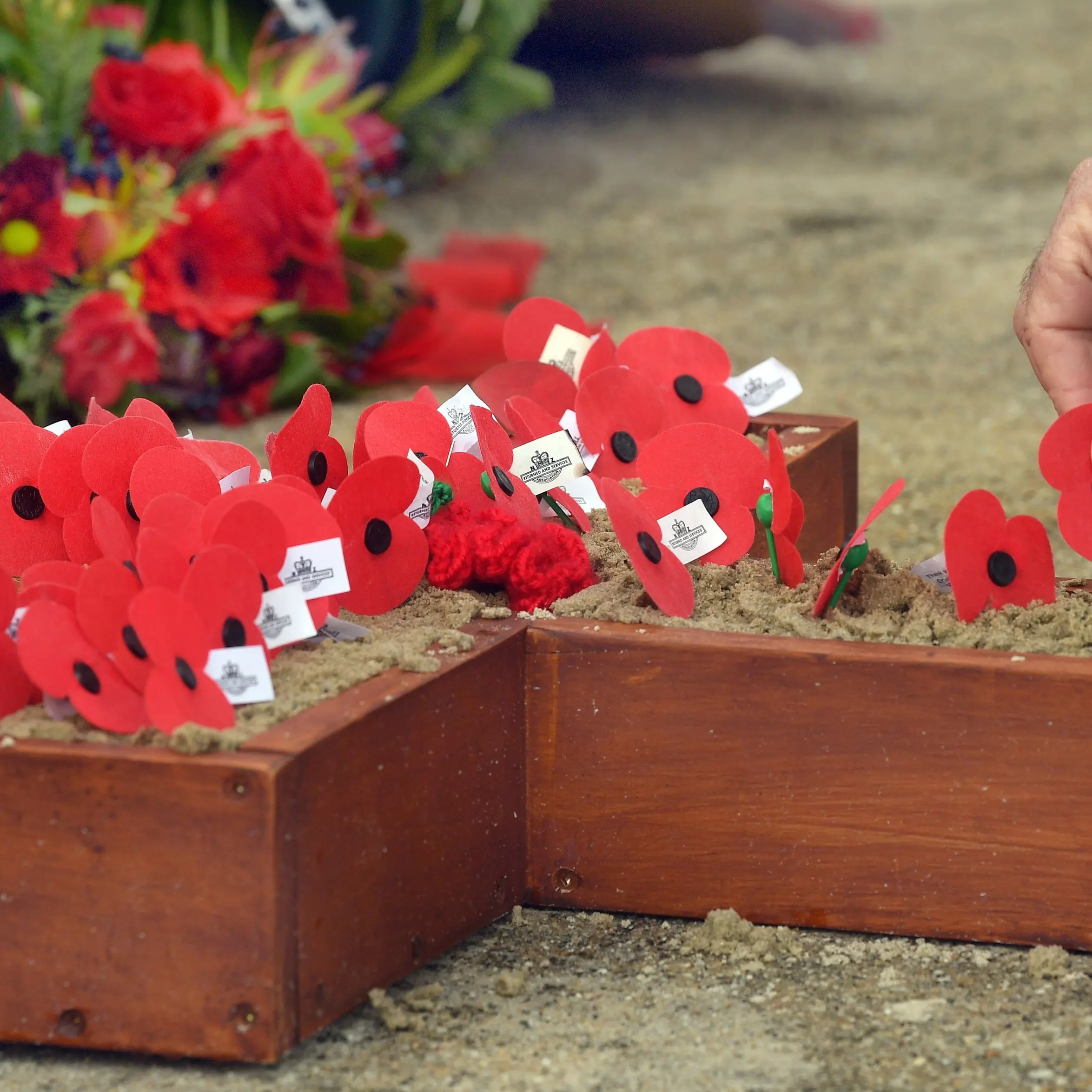Anzac Day events in Dunedin