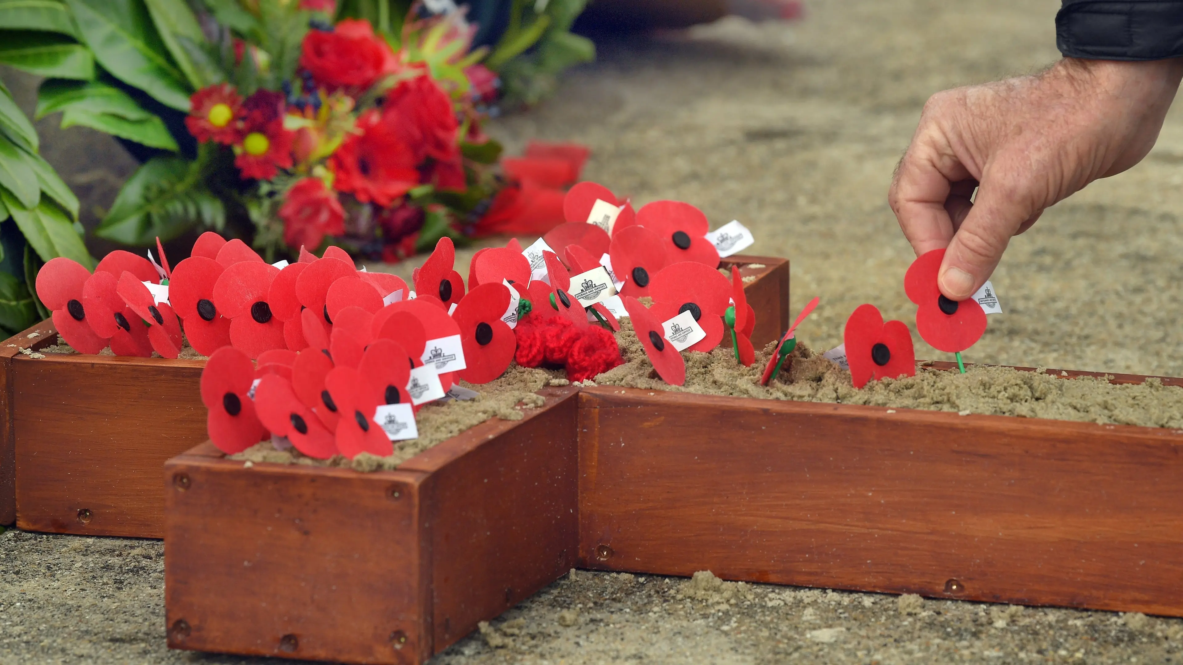 Anzac Day events in Dunedin