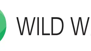 A quizzical look at wildlife
