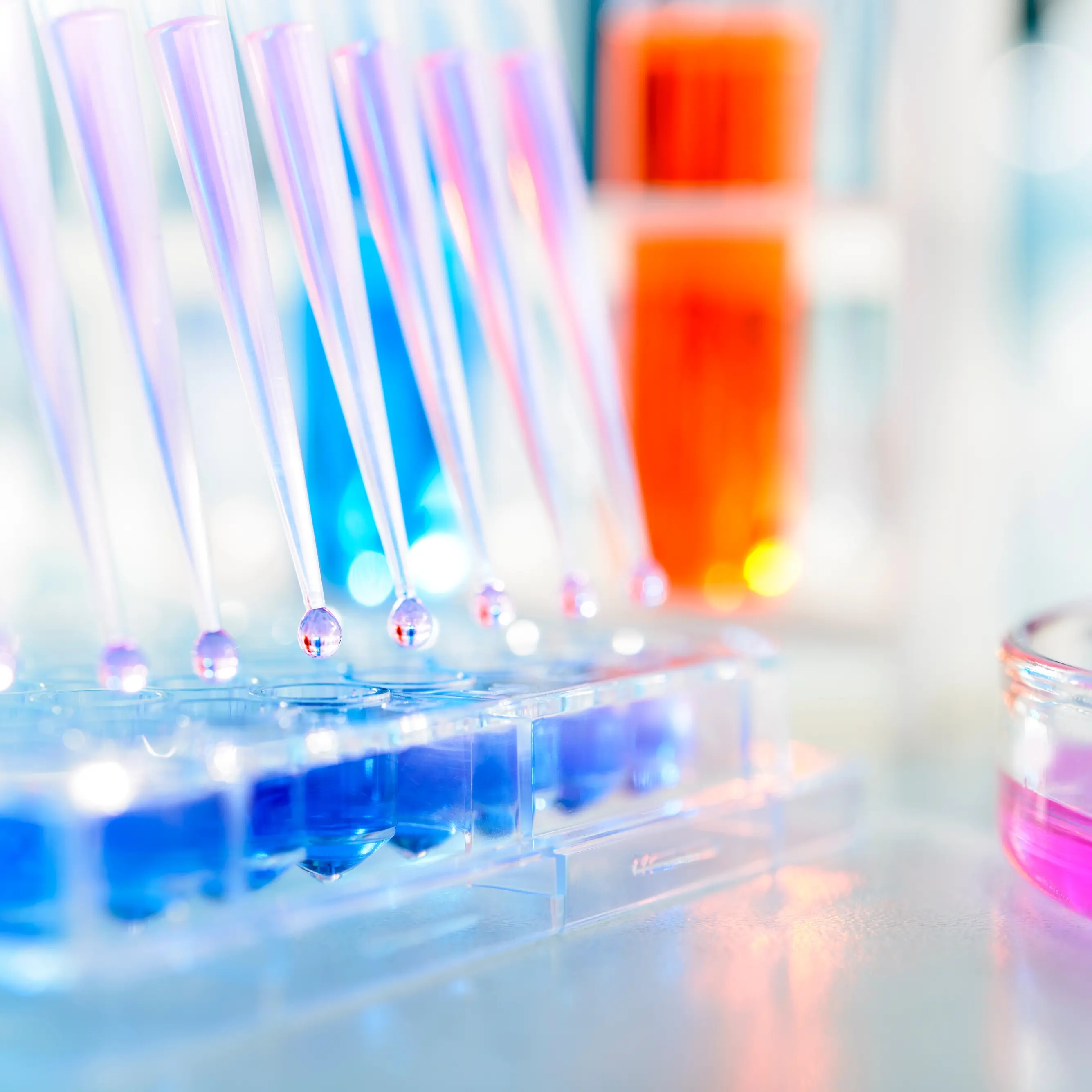 Seeing science as part of the big picture