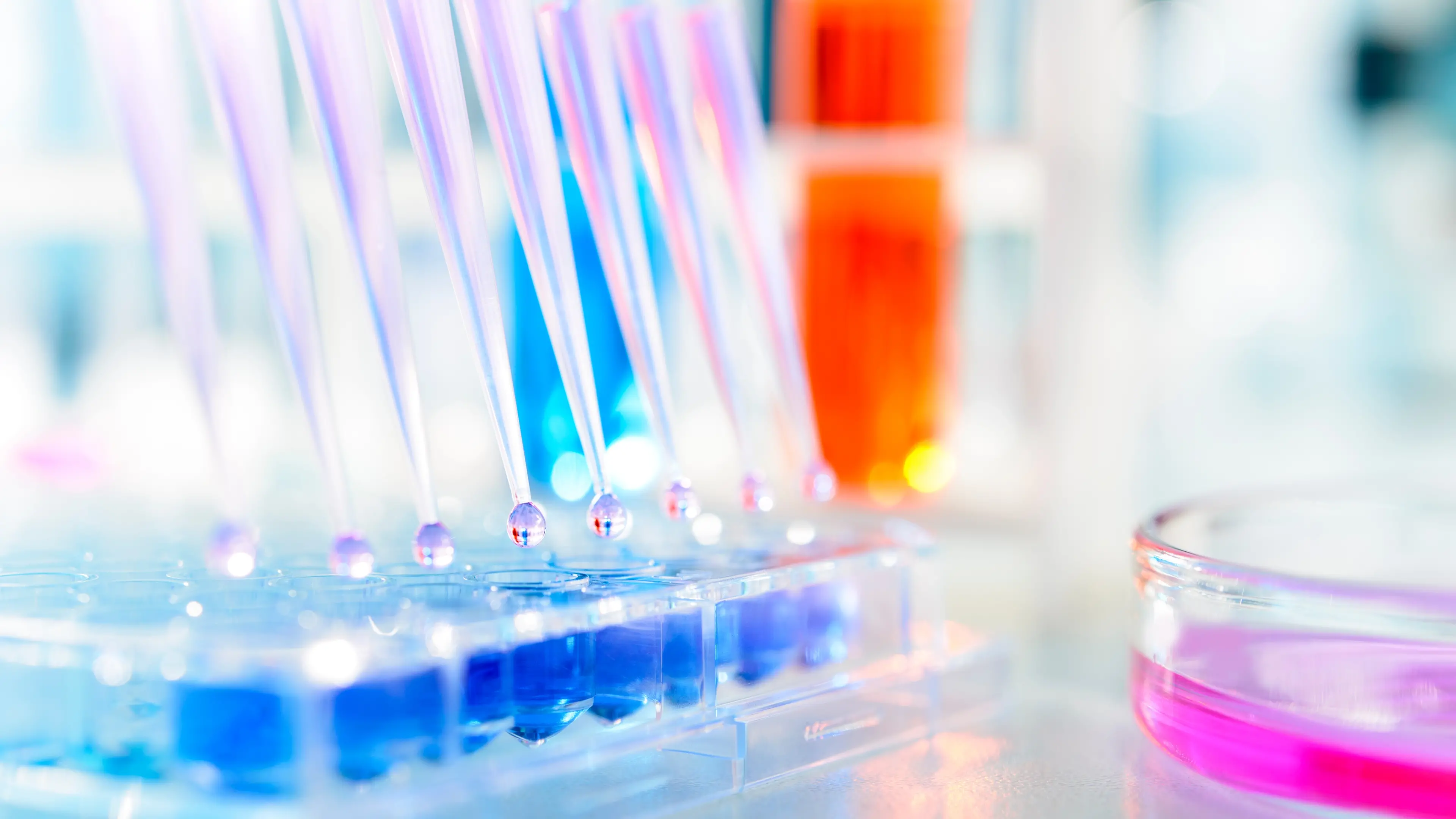 Seeing science as part of the big picture