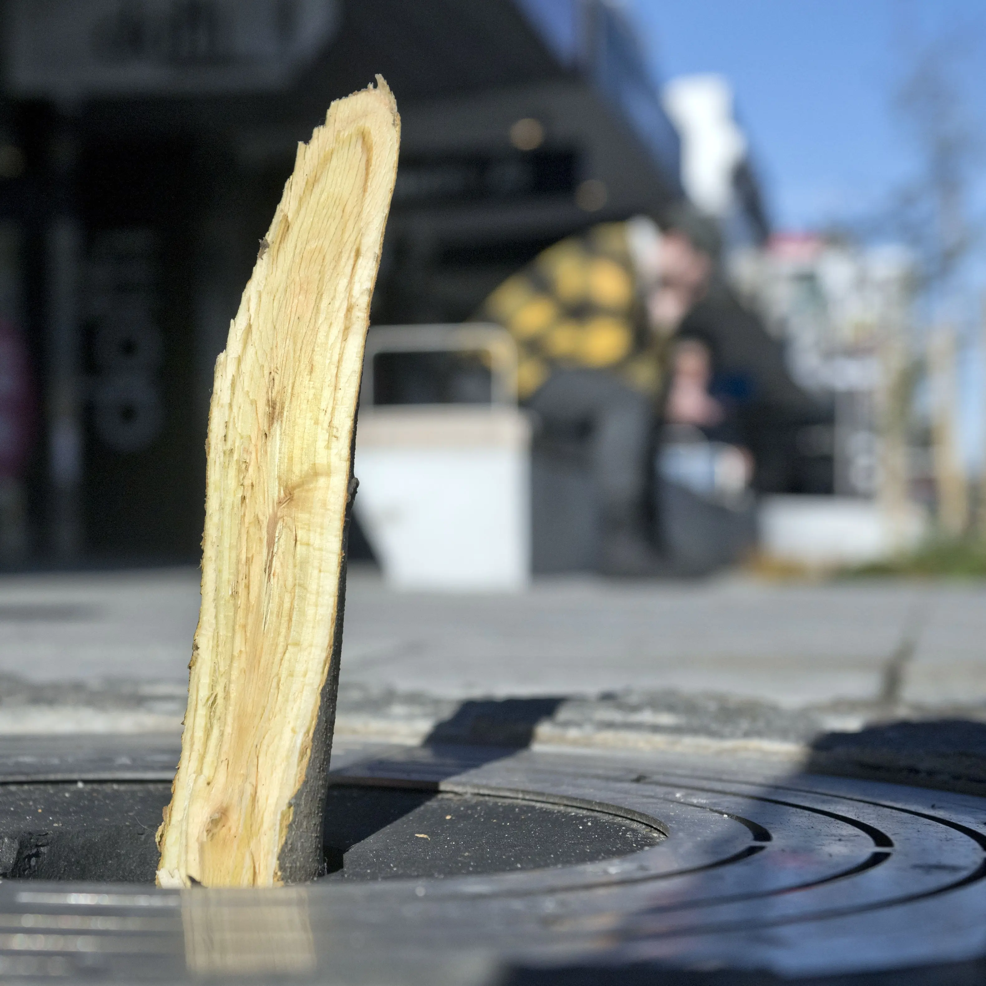 George St tree destruction ‘disappointing’