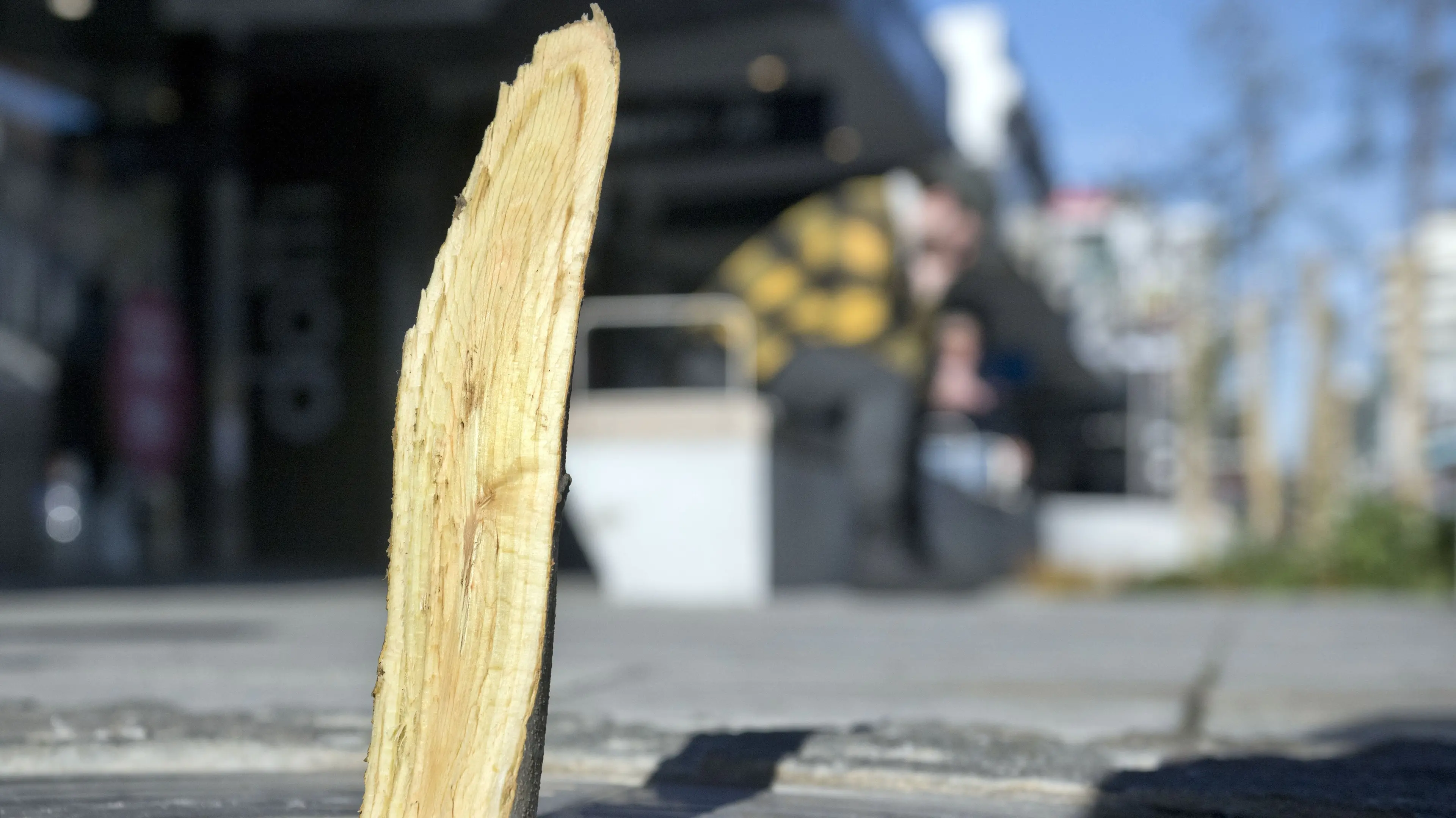 George St tree destruction ‘disappointing’