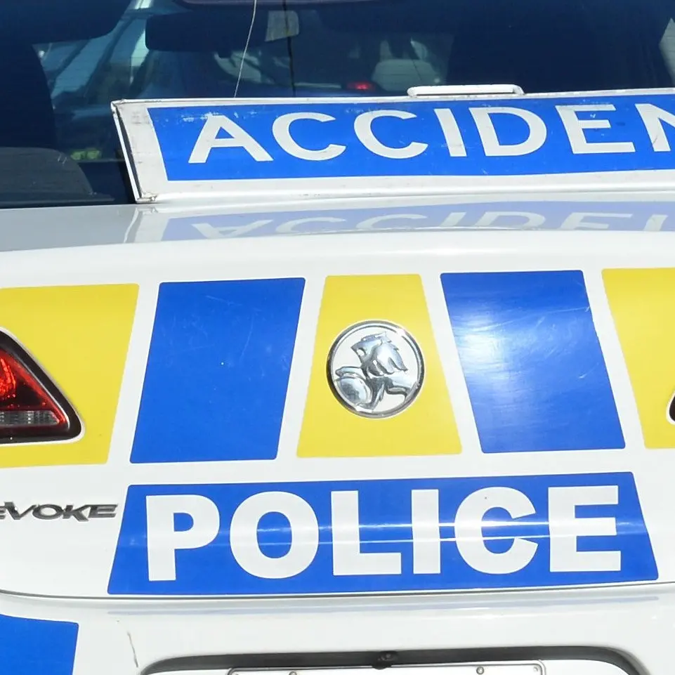 Driver dies in Westland crash